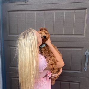 Meet your Posher, Bailey